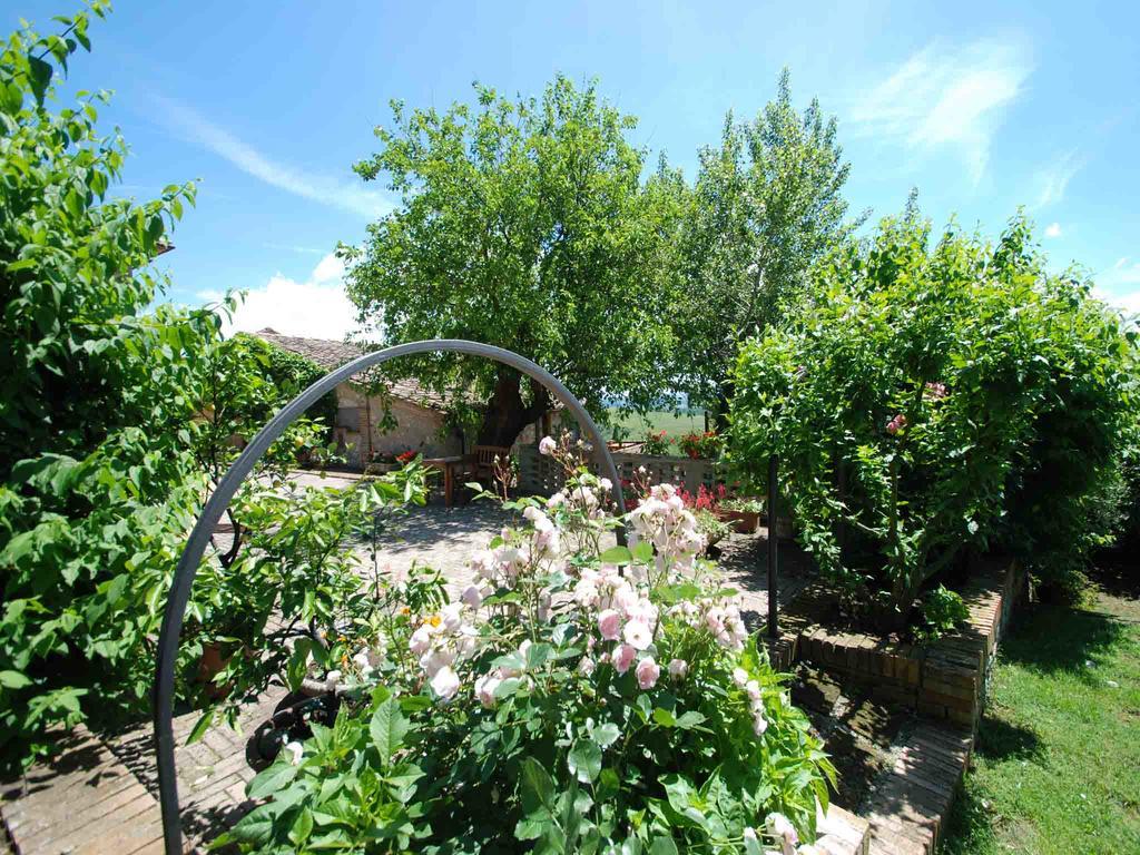Agriturismo Etrusco Murlo Exterior foto